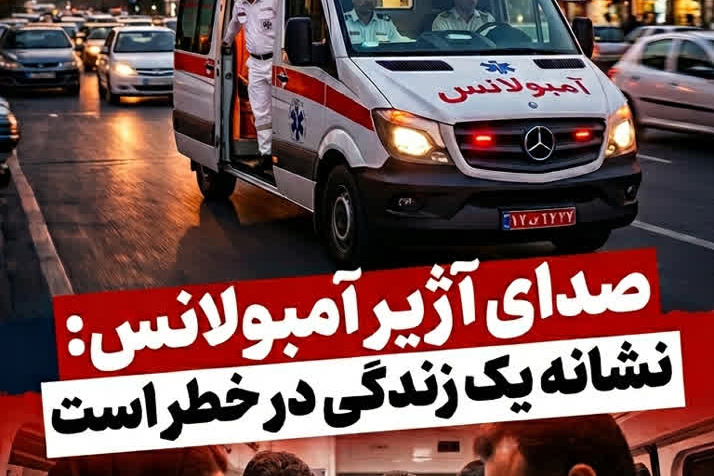 جلسه